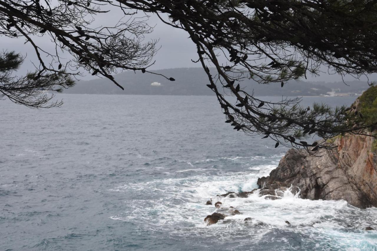 Les Flots D'Azur ツーロン エクステリア 写真